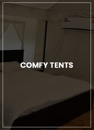 Comfy Tents