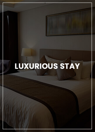 Luxurious Stay