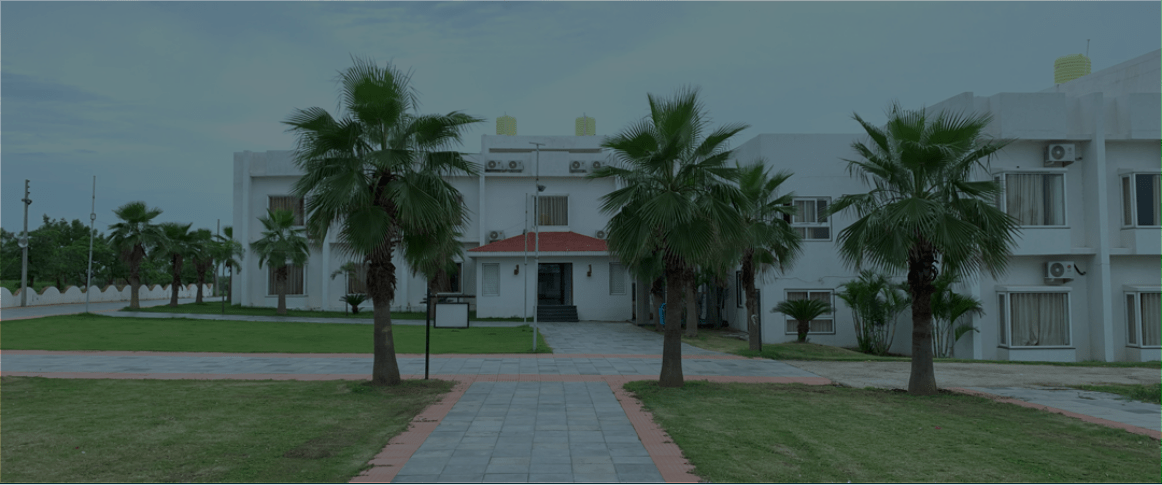 Outdoor, Courtyard Lawn